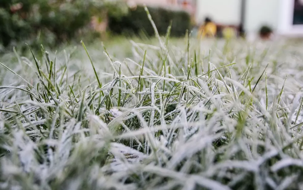 Top Stories Tamfitronics Morning frost and fog are forecast in some regions, but fine to cool conditions expected elsewhere. (Kinga Krzeminska/Getty Images)