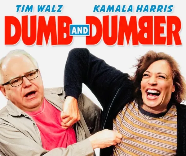 Politics tamfitronics Dumb and Dumber example