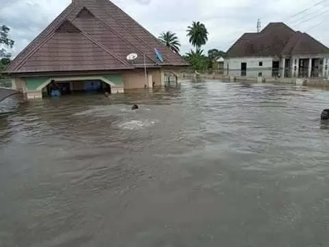 NEMA flooding