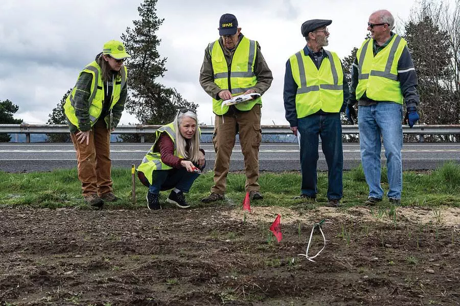 Politics roiled a neighborhood. It worked to rebuild have confidence with trash and plant life.