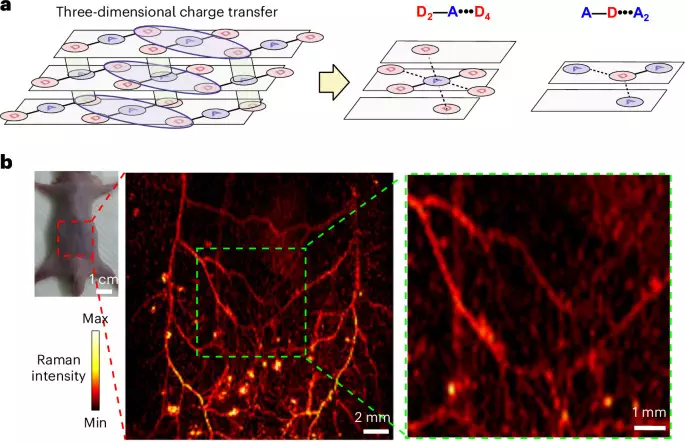 Small molecules self-organized in an orderly manner to enhance Raman signals