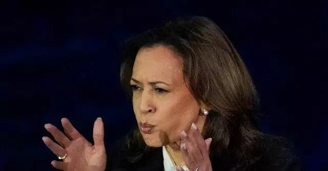 Mark Matson: Kamala Harris’s Tax Policies Are an ‘American Dream Destroyer’