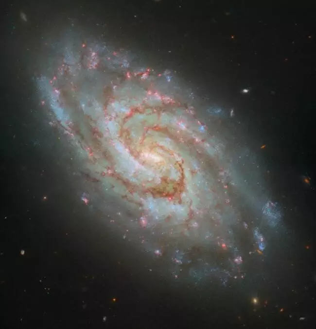 Hubble Captures Stellar Nurseries in a Majestic Spiral