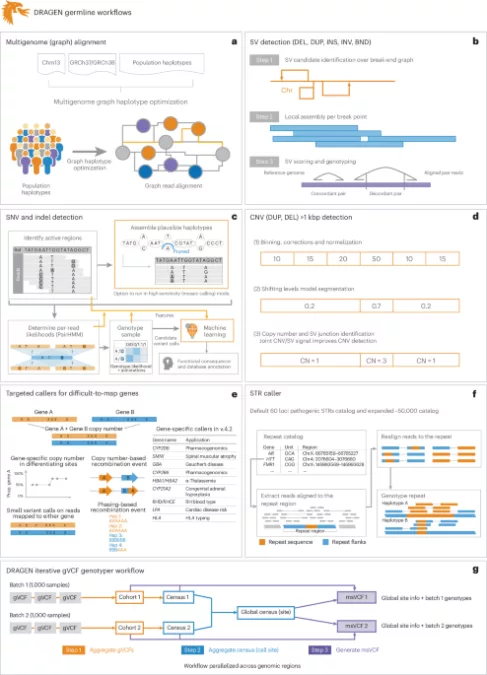 Comprehensive genome analysis and variant detection at scale using DRAGEN