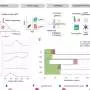 Intrinsic factors of CAR-T cells may play a major role in their clinical success