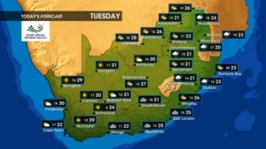 Weather forecast | Tuesday, 12 November 2024