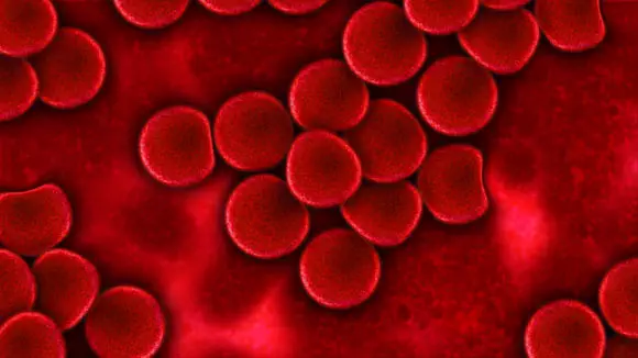 Top Stories Tamfitronics There are now 47 blood group systems together containing more than 360 blood antigens. Image credit: Gerd Altmann.