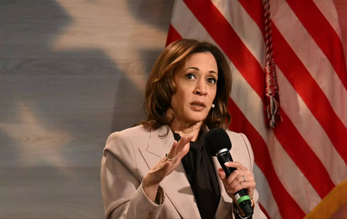 Politics tamfitronics Kamala Harris speaks during a discussion hosted by the National Association of Black Journalists (NABJ), in Philadelphia, Pennsylvania, on September 17, 2024.